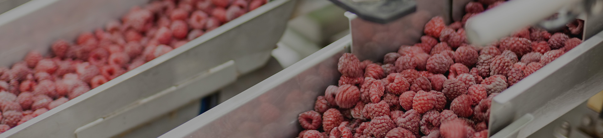 关于2138cn太阳集团城