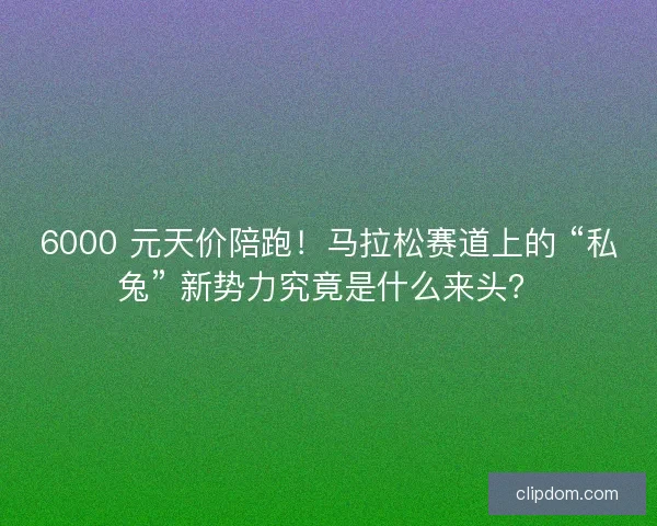 6000 元天价陪跑！马拉松赛道上的 “私兔” 新势力究竟是什么来头？