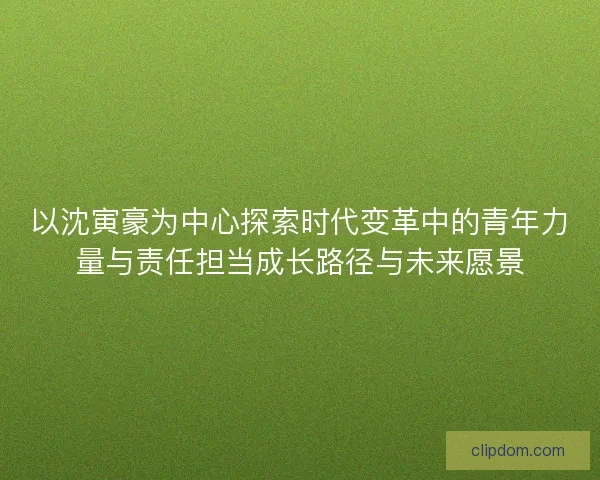 以沈寅豪为中心探索时代变革中的青年力量与责任担当成长路径与未来愿景