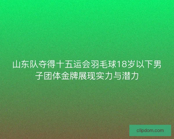 山东队夺得十五运会羽毛球18岁以下男子团体金牌展现实力与潜力